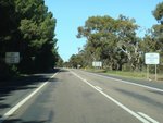 tn_200909_11_tintinara.jpg