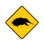 echidnas