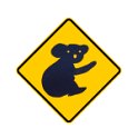 koala1