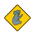 koala2